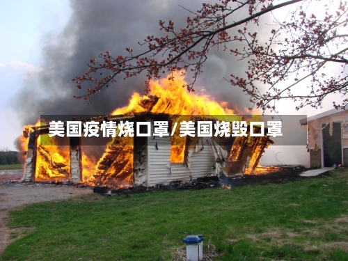 美国疫情烧口罩/美国烧毁口罩-第2张图片