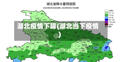 湖北疫情下降(湖北当下疫情)