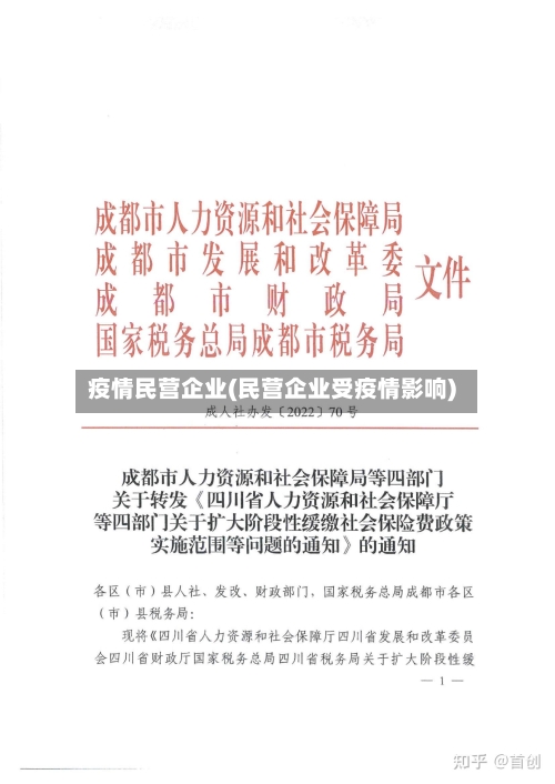 疫情民营企业(民营企业受疫情影响)-第3张图片
