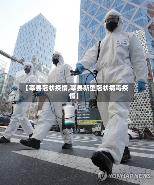 【莘县冠状疫情,莘县新型冠状病毒疫情】-第3张图片