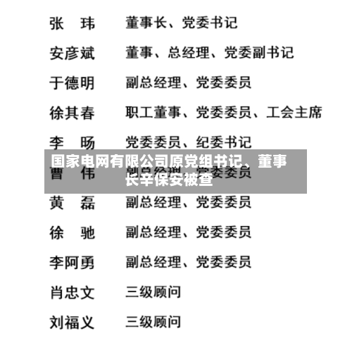 国家电网有限公司原党组书记、董事长辛保安被查