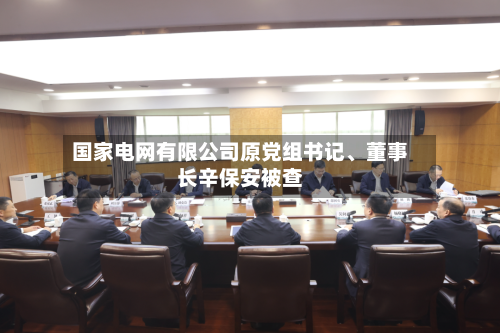 国家电网有限公司原党组书记、董事长辛保安被查-第2张图片