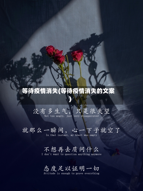 等待疫情消失(等待疫情消失的文案)
