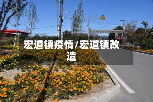 宏道镇疫情/宏道镇改造