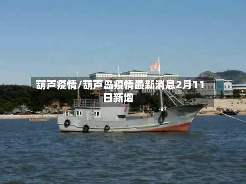 葫芦疫情/葫芦岛疫情最新消息2月11日新增-第3张图片