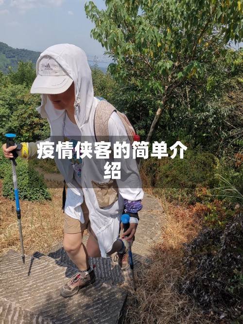 疫情侠客的简单介绍
