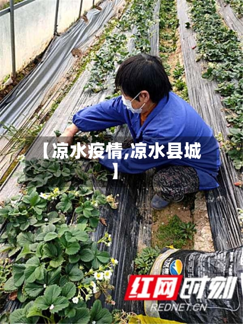 【凉水疫情,凉水县城】