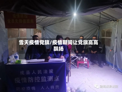 雪天疫情党旗/疫情期间让党旗高高飘扬