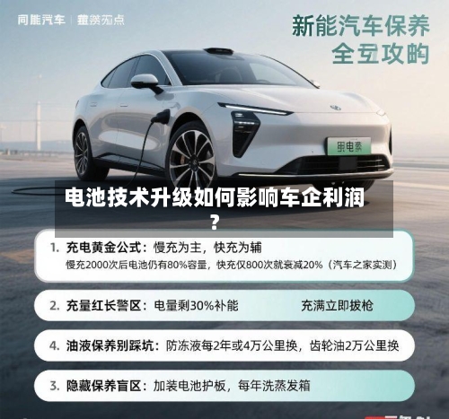 电池技术升级如何影响车企利润？-第2张图片