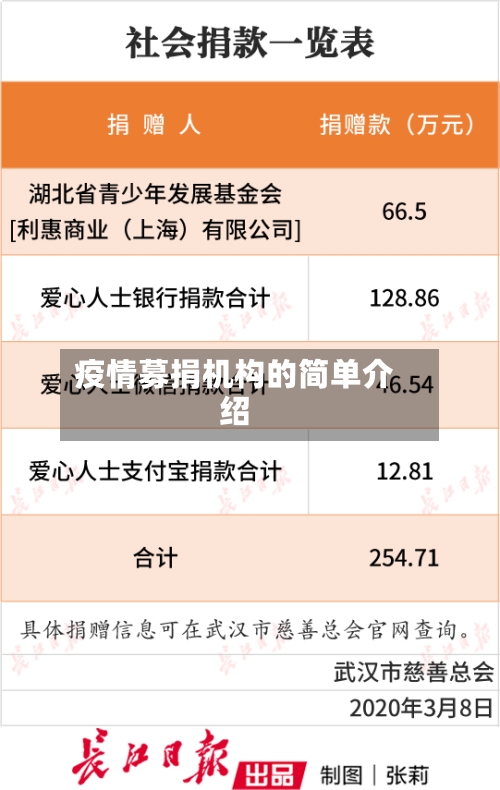 疫情募捐机构的简单介绍-第2张图片