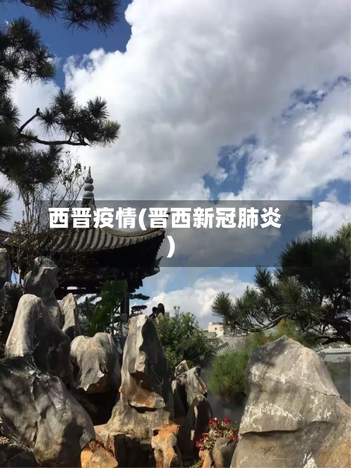 西晋疫情(晋西新冠肺炎)-第3张图片