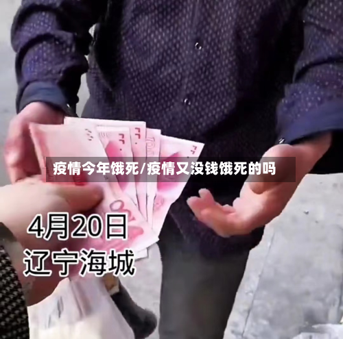 疫情今年饿死/疫情又没钱饿死的吗