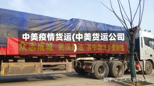 中美疫情货运(中美货运公司)-第3张图片