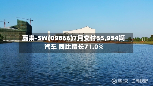 蔚来-SW(09866)7月交付35,934辆汽车 同比增长71.0%