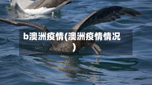 b澳洲疫情(澳洲疫情情况)