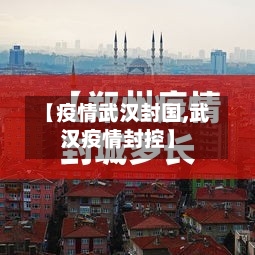 【疫情武汉封国,武汉疫情封控】-第2张图片