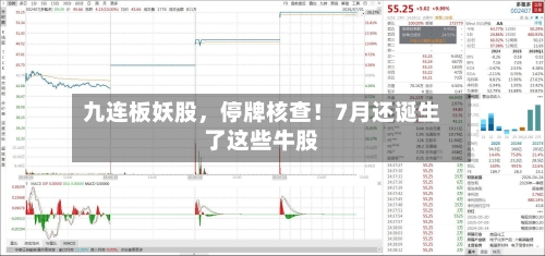 九连板妖股，停牌核查！7月还诞生了这些牛股