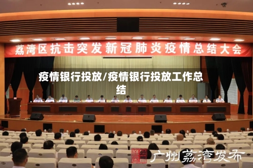 疫情银行投放/疫情银行投放工作总结