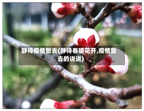静待疫情散去(静待春暖花开,疫情散去的说说)