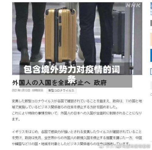 包含境外势力对疫情的词条-第2张图片