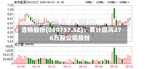 浩物股份(000757.SZ)：累计回购276万股公司股份