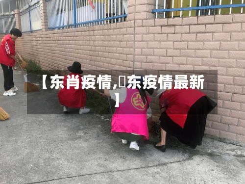 【东肖疫情,恵东疫情最新】