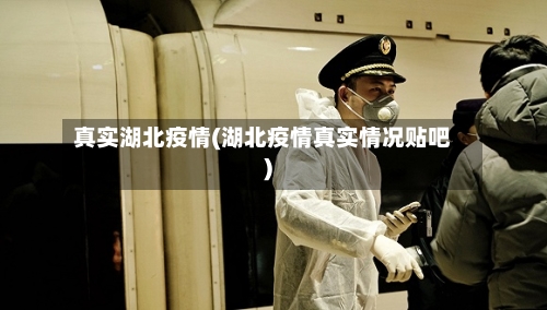 真实湖北疫情(湖北疫情真实情况贴吧)