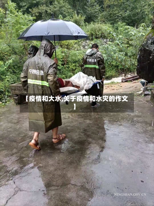 【疫情和大水,关于疫情和水灾的作文】