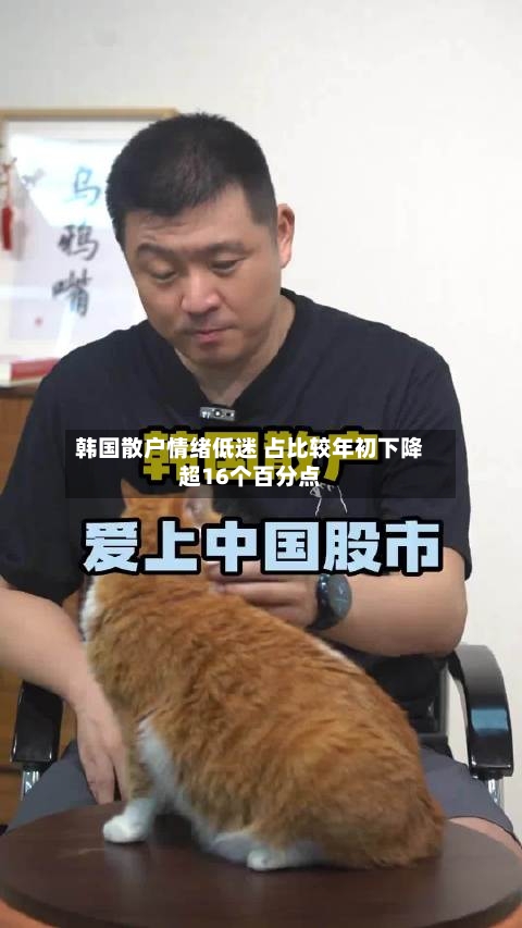 韩国散户情绪低迷 占比较年初下降超16个百分点