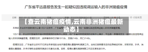 【查云南猪瘟疫情,云南非洲猪瘟最新动态】