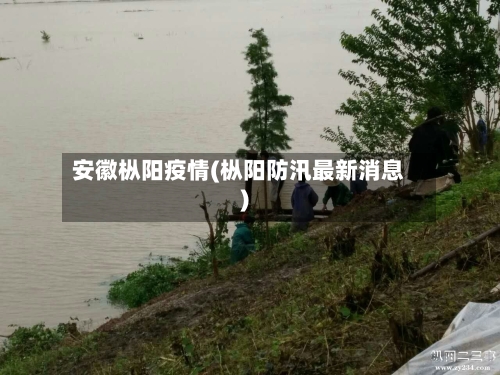安徽枞阳疫情(枞阳防汛最新消息)-第3张图片