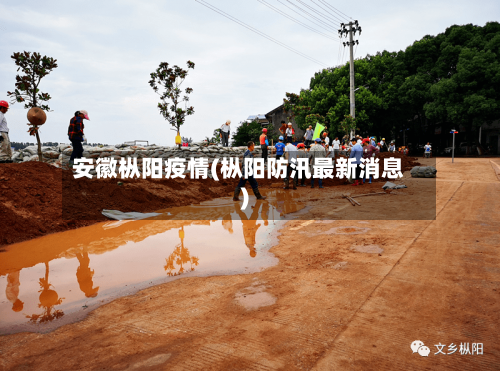 安徽枞阳疫情(枞阳防汛最新消息)-第2张图片