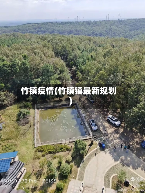竹镇疫情(竹镇镇最新规划)-第2张图片