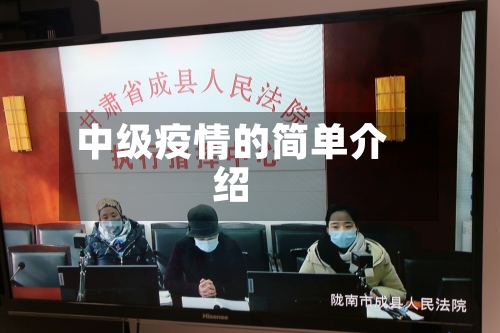中级疫情的简单介绍