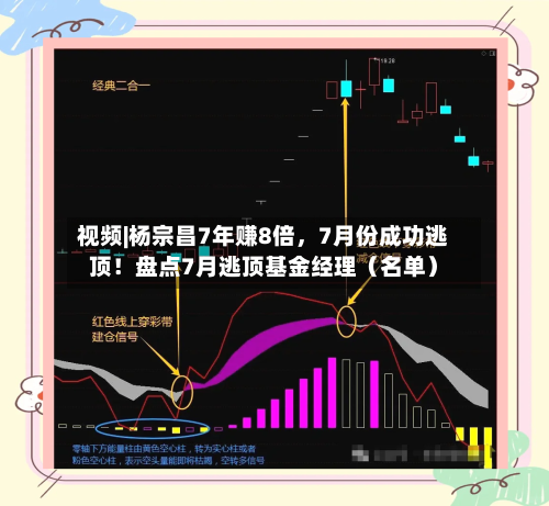视频|杨宗昌7年赚8倍	，7月份成功逃顶！盘点7月逃顶基金经理（名单）-第2张图片