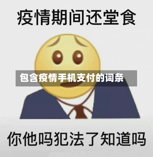 包含疫情手机支付的词条