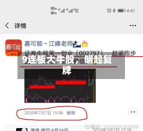 9连板大牛股，明起复牌-第3张图片