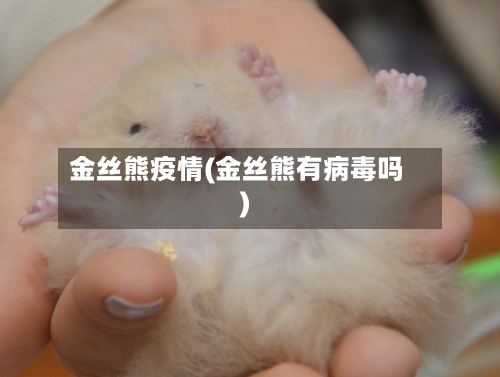 金丝熊疫情(金丝熊有病毒吗)