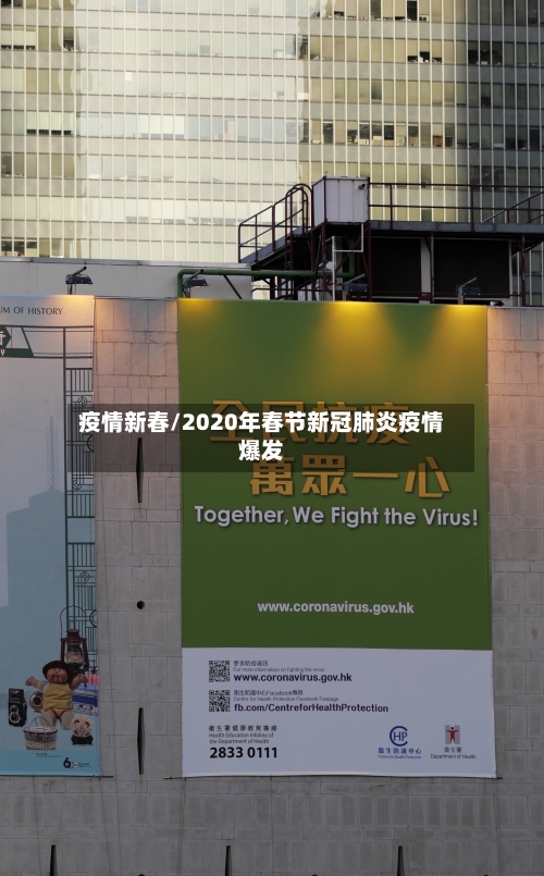 疫情新春/2020年春节新冠肺炎疫情爆发-第2张图片