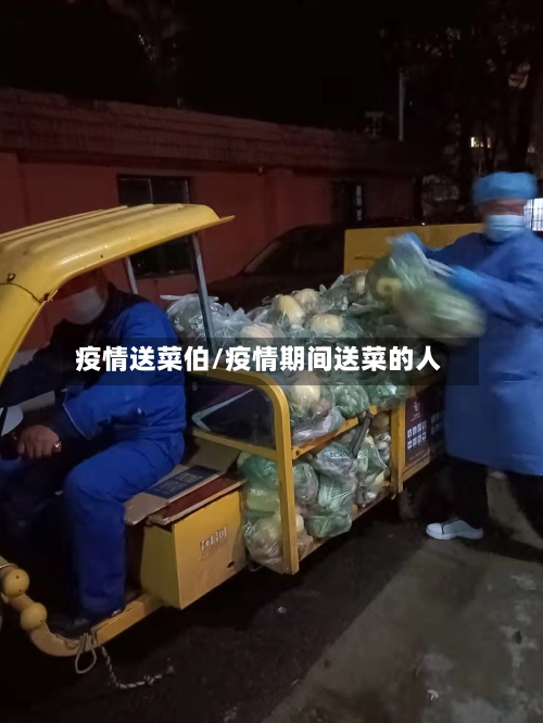疫情送菜伯/疫情期间送菜的人