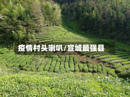 疫情村头喇叭/宣城最强县-第3张图片