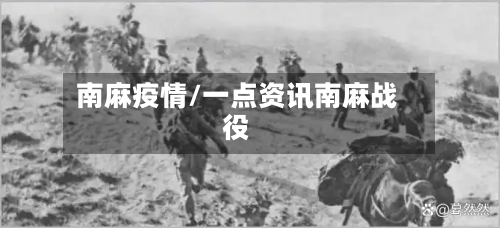 南麻疫情/一点资讯南麻战役