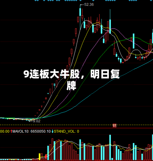9连板大牛股，明日复牌