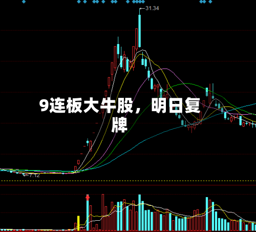 9连板大牛股，明日复牌-第2张图片