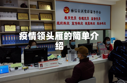 疫情领头雁的简单介绍