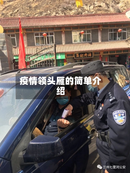 疫情领头雁的简单介绍-第2张图片