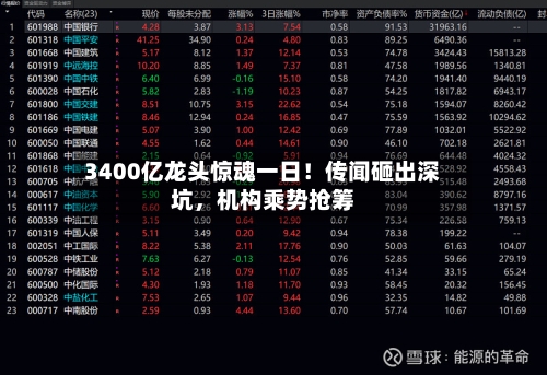 3400亿龙头惊魂一日！传闻砸出深坑，机构乘势抢筹-第2张图片