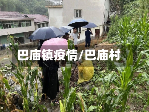 巴庙镇疫情/巴庙村