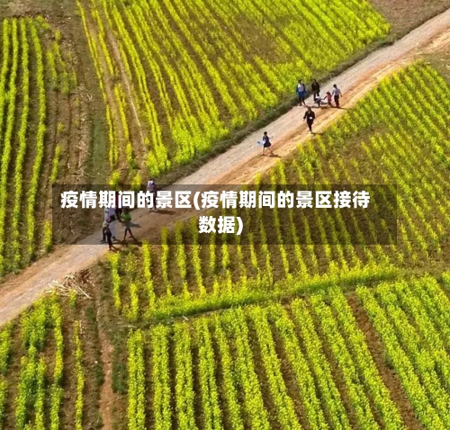疫情期间的景区(疫情期间的景区接待数据)-第3张图片