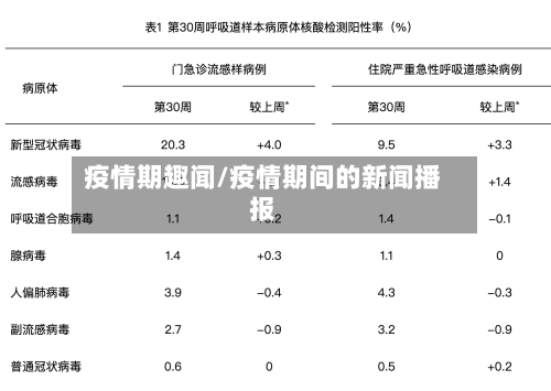 疫情期趣闻/疫情期间的新闻播报